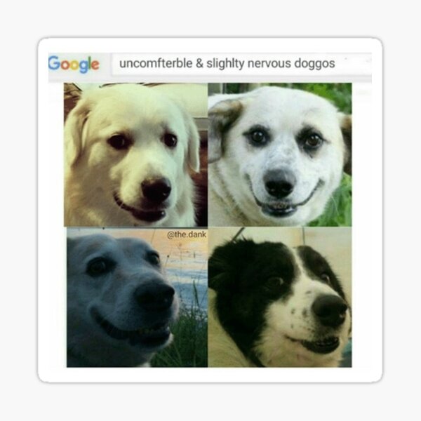 Uncomfterble & Slightly Nervous Doggos Sticker