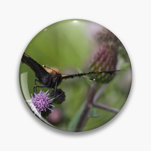 Item preview, Face time. Small tortoiseshell designed and sold by Jouko Lehto Photography.