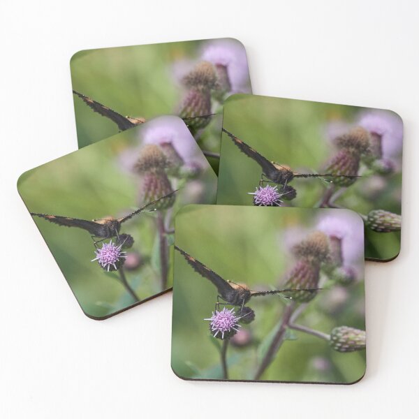 Item preview, Face time. Small tortoiseshell designed and sold by Jouko Lehto Photography.