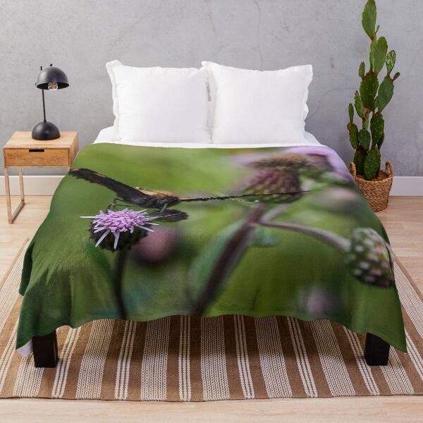 Item preview, Face time. Small tortoiseshell designed and sold by Jouko Lehto Photography.