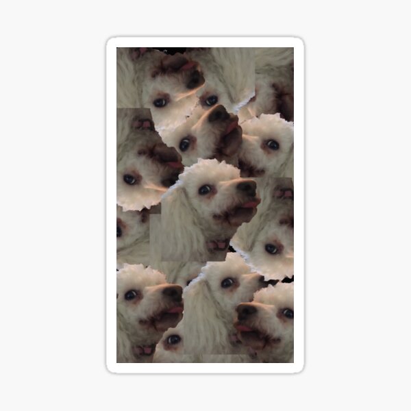 Much Duchess Sticker
