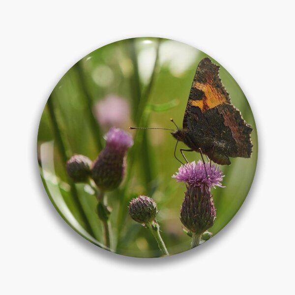 Item preview, Enjoying the refreshements. Small tortoiseshell designed and sold by Jouko Lehto Photography.