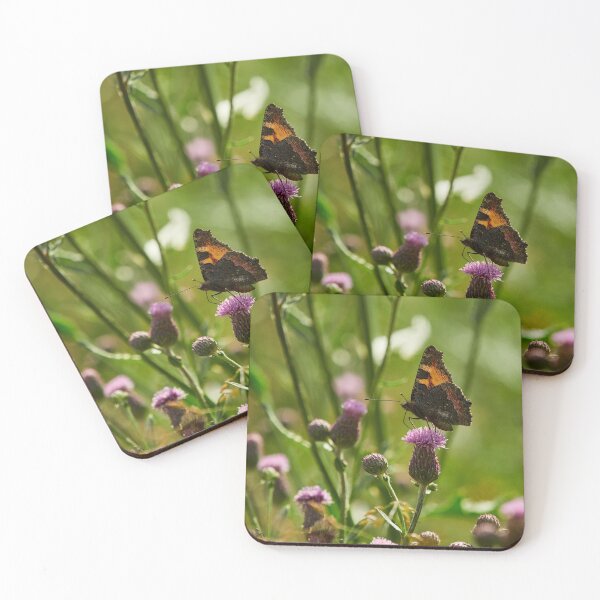 Item preview, Enjoying the refreshements. Small tortoiseshell designed and sold by Jouko Lehto Photography.