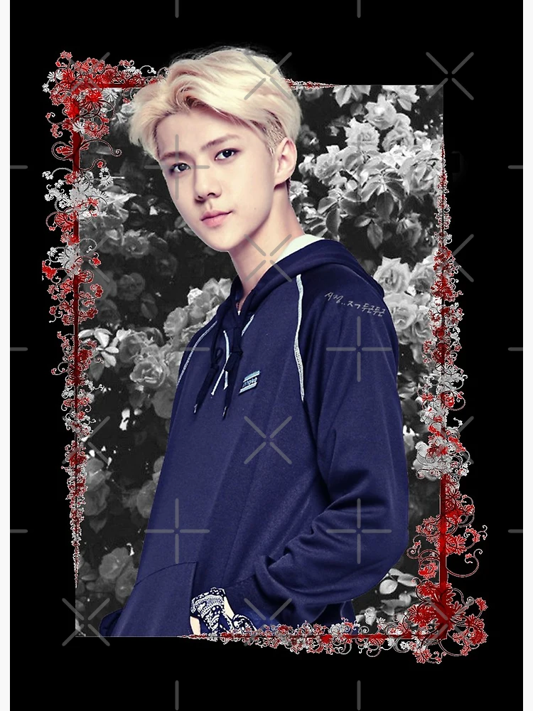 EXO Sehun discount K-pop Acrylic Painting