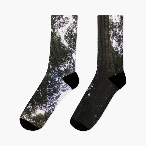 Item preview, Forest | nature | photography designed and sold by Aakriti _0.0_.
