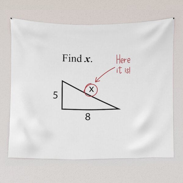 Item preview, Find X Math Geek designed and sold by Twenty2Creative.
