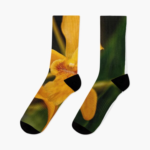 Item preview, Yellow Orchid Flower Flowering Plant designed and sold by AndyEvansPhotos.