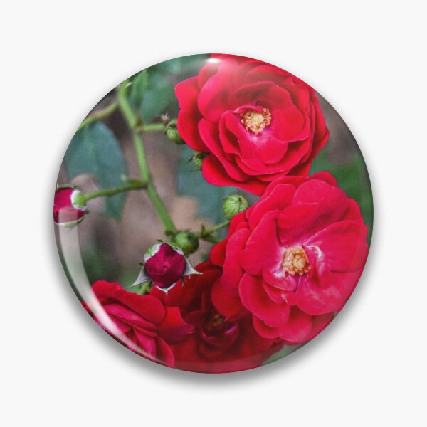 Item preview, The Roses designed and sold by ShehaniJay.