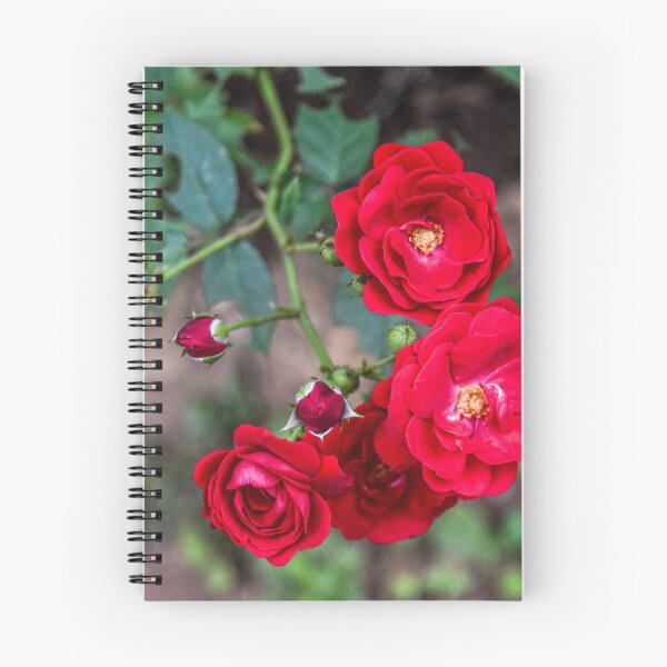 Item preview, The Roses designed and sold by ShehaniJay.