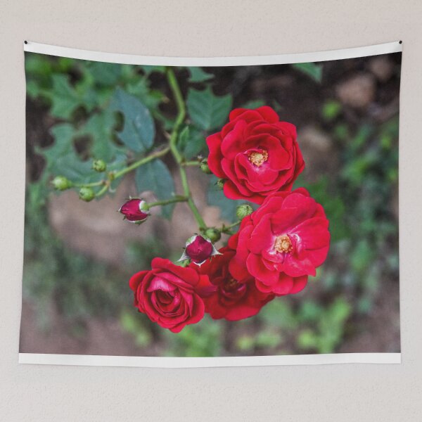 Item preview, The Roses designed and sold by ShehaniJay.