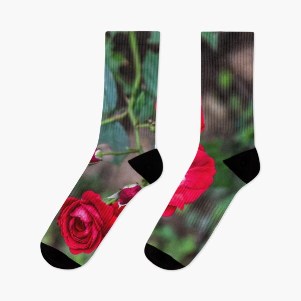 Item preview, The Roses designed and sold by ShehaniJay.