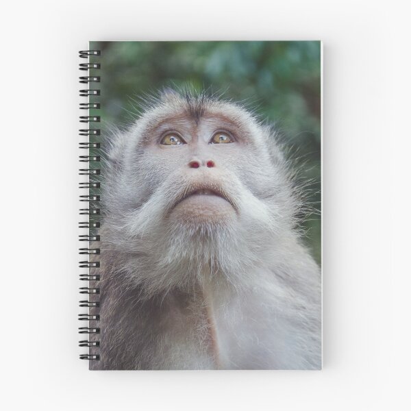 Item preview, Cute Monkey from Bali designed and sold by traveltheory.