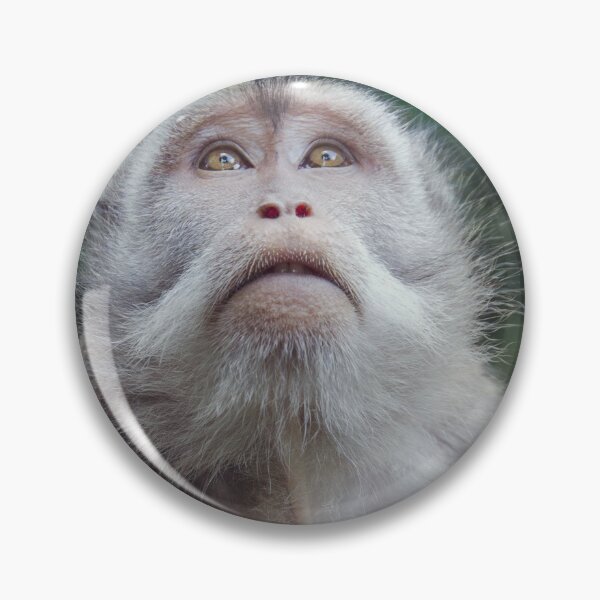 Item preview, Cute Monkey from Bali designed and sold by traveltheory.