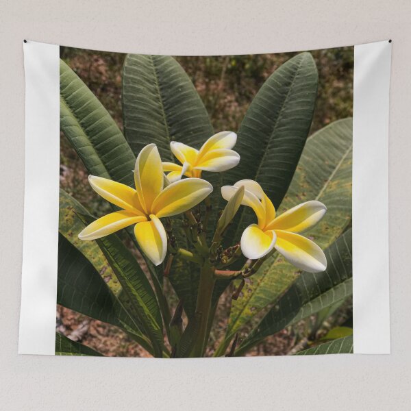 Item preview, The Plumerias designed and sold by ShehaniJay.