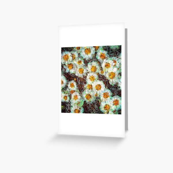 Field of Daisies Greeting Card
