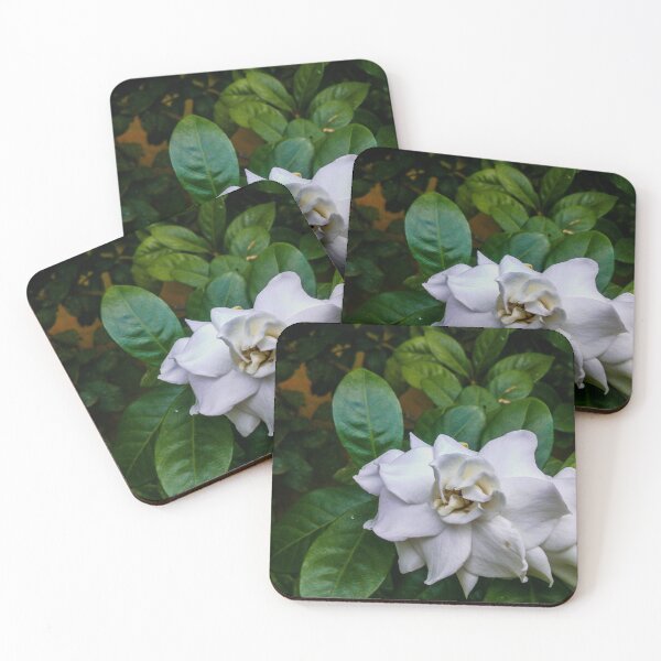 Item preview, The Gardenia designed and sold by ShehaniJay.