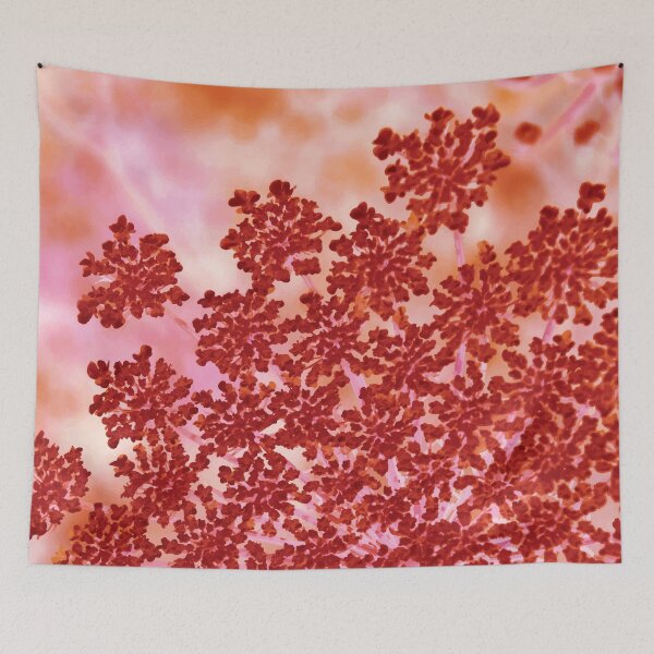 Item preview, The Blushing Heracleum designed and sold by GeeeDeeeBeee.