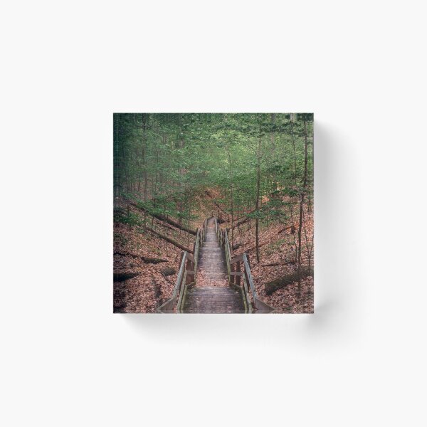 Item preview, Boardwalk Trail through the Dunes at PJ Hoffmaster Park designed and sold by Michael Deemer.