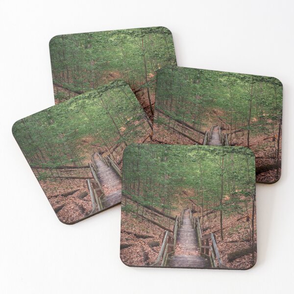 Item preview, Boardwalk Trail through the Dunes at PJ Hoffmaster Park designed and sold by Michael Deemer.