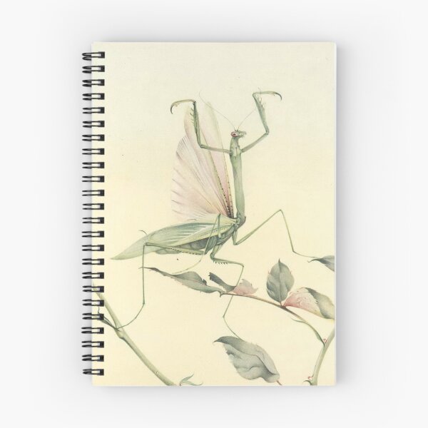 Item preview, Praying Mantis by Edward Julius Detmold - Vintage Art designed and sold by RickE.
