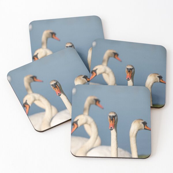Item preview, A group of swans designed and sold by Neilchurcherart.