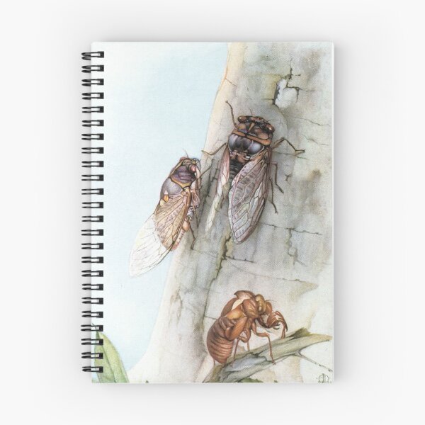 Item preview, Cicadas by Edward Julius Detmold - Vintage Art designed and sold by RickE.