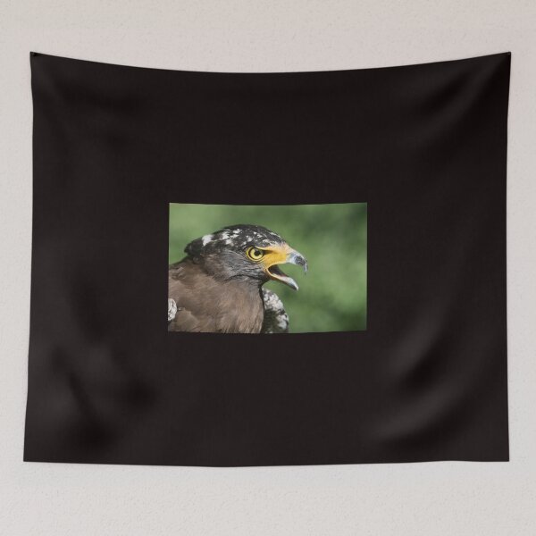Item preview, Grumpy Eagle designed and sold by byronbackyard.