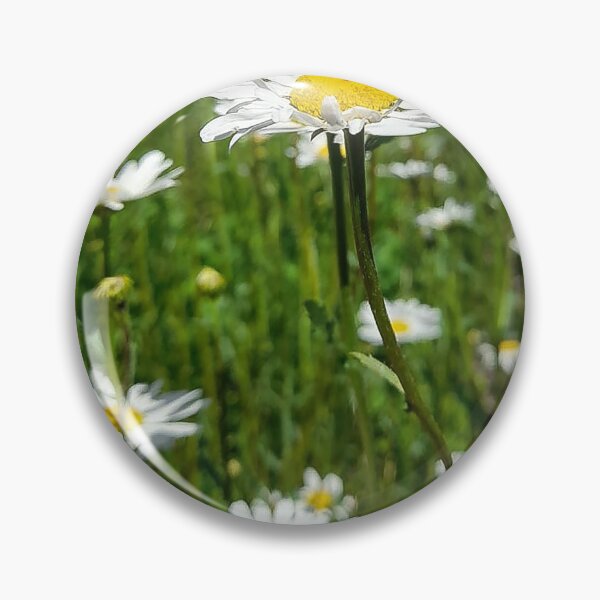 Item preview, Wild flower daisies  designed and sold by Neilchurcherart.