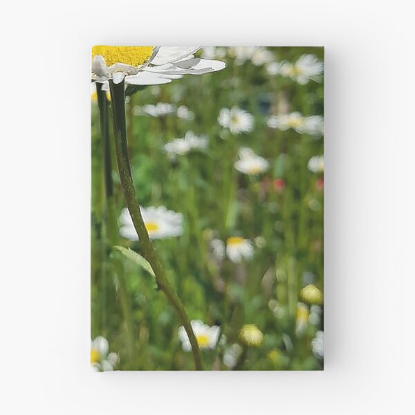 Item preview, Wild flower daisies  designed and sold by Neilchurcherart.