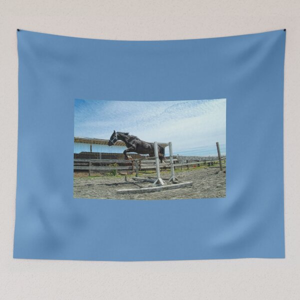 Item preview, First Stallion (Jumps) designed and sold by MasterJames.