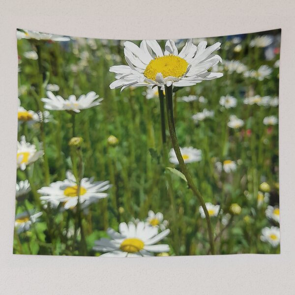 Item preview, Wild flower daisies  designed and sold by Neilchurcherart.
