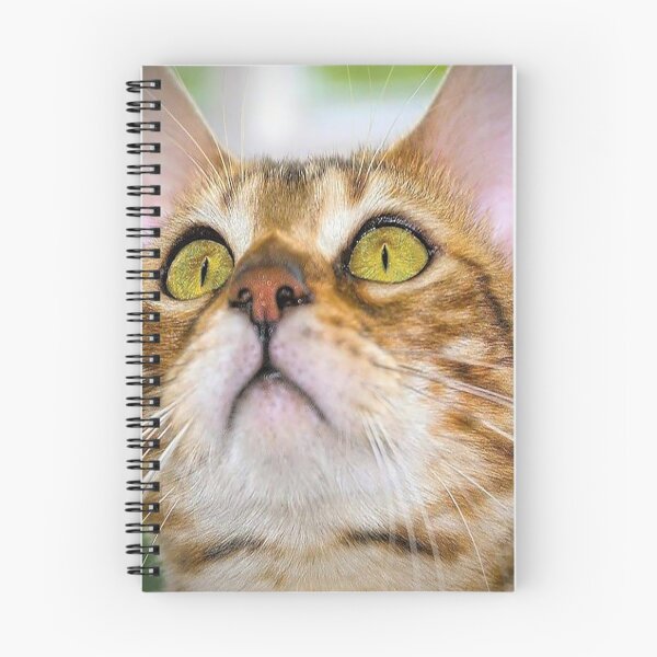 Item preview, Taby Pet Cat designed and sold by Neilchurcherart.