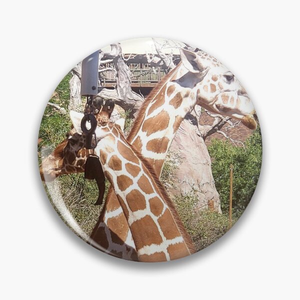 Item preview, Compañeros de cuello largo designed and sold by DarnNiceThings.