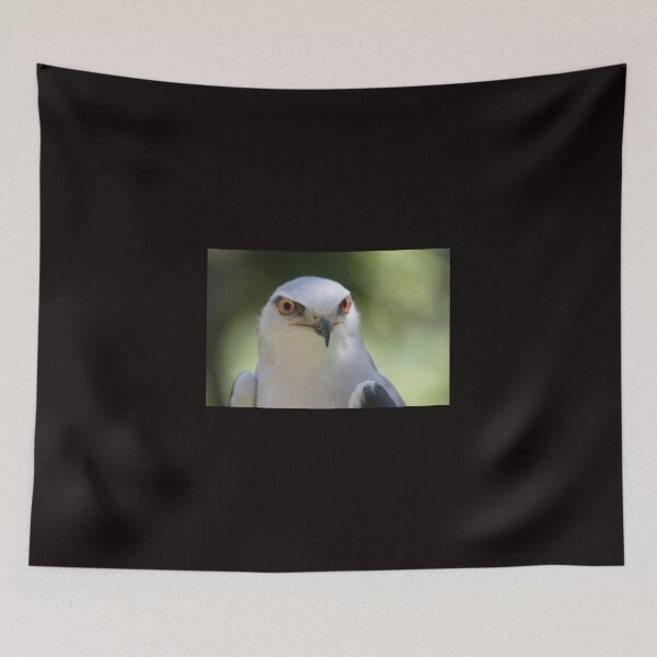 Item preview, Watchful  designed and sold by byronbackyard.