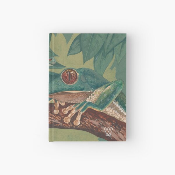 Orange-Eyed Tree Frog Hardcover Journal