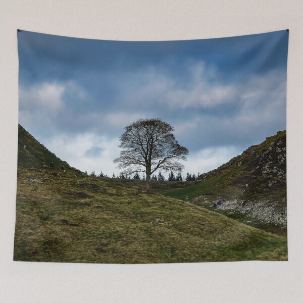 Item preview, Sycamore Gap designed and sold by Neilchurcherart.
