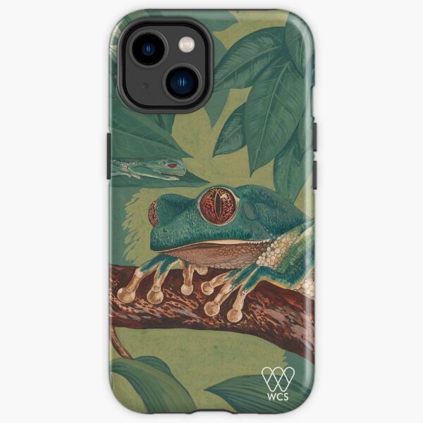 Orange-Eyed Tree Frog iPhone Tough Case