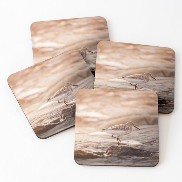 Item preview, Avocet at Sunset designed and sold by shortyblondey.