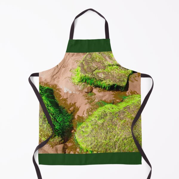Item preview, Seaweed covered rocks designed and sold by Shulie1.