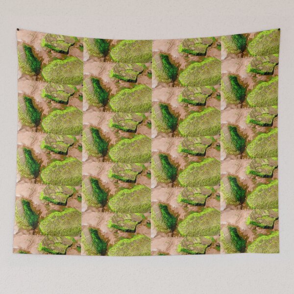 Item preview, Seaweed covered rocks designed and sold by Shulie1.