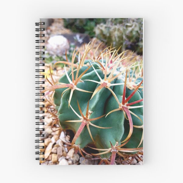 Item preview, Chin Cactus  designed and sold by LitaAn.