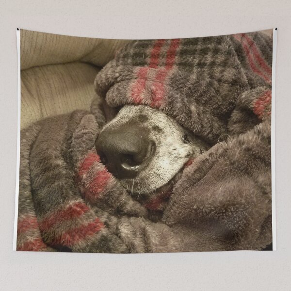 Item preview, MooseDog Nose designed and sold by MooseDogPhotos.