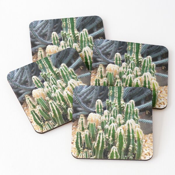 Item preview, Cereus Repandus designed and sold by LitaAn.
