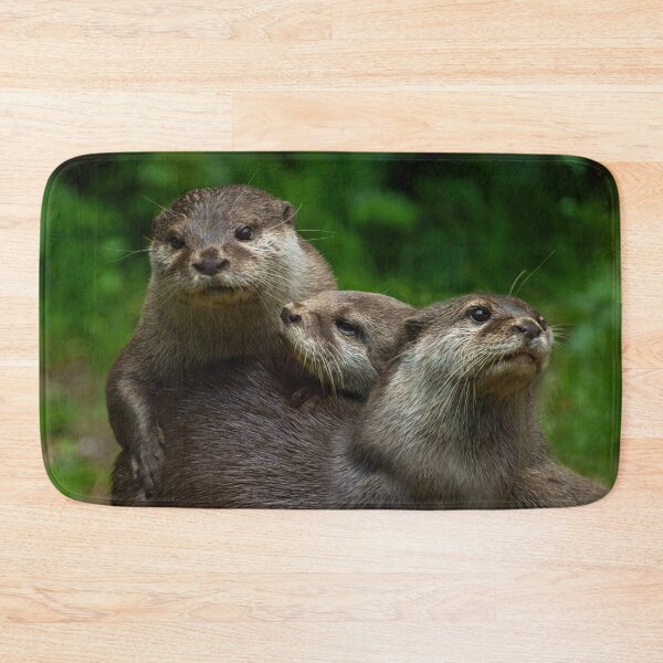 Item preview, Three Otters Cuddling Up designed and sold by rawshutterbug.