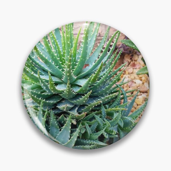 Item preview, Spider Aloe designed and sold by LitaAn.