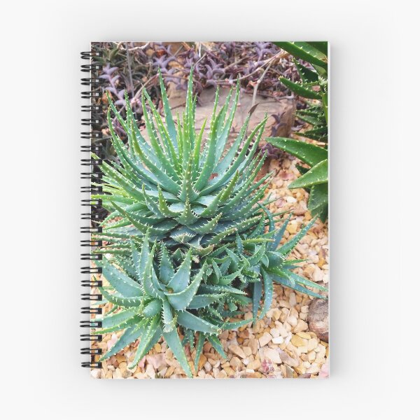 Item preview, Spider Aloe designed and sold by LitaAn.
