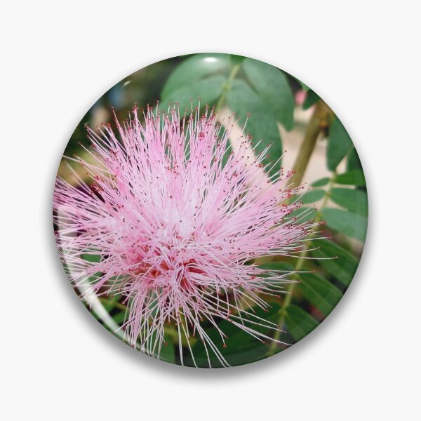 Item preview, Pink Mimosa designed and sold by LitaAn.