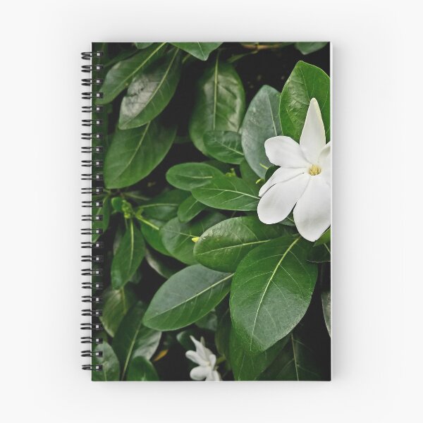 Item preview, Gardenia Flowers  designed and sold by LitaAn.