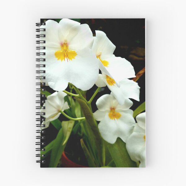 Item preview, Miltoniopsis Orchids designed and sold by LitaAn.