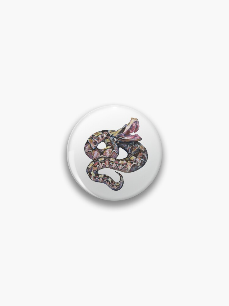 Pin on Snakes